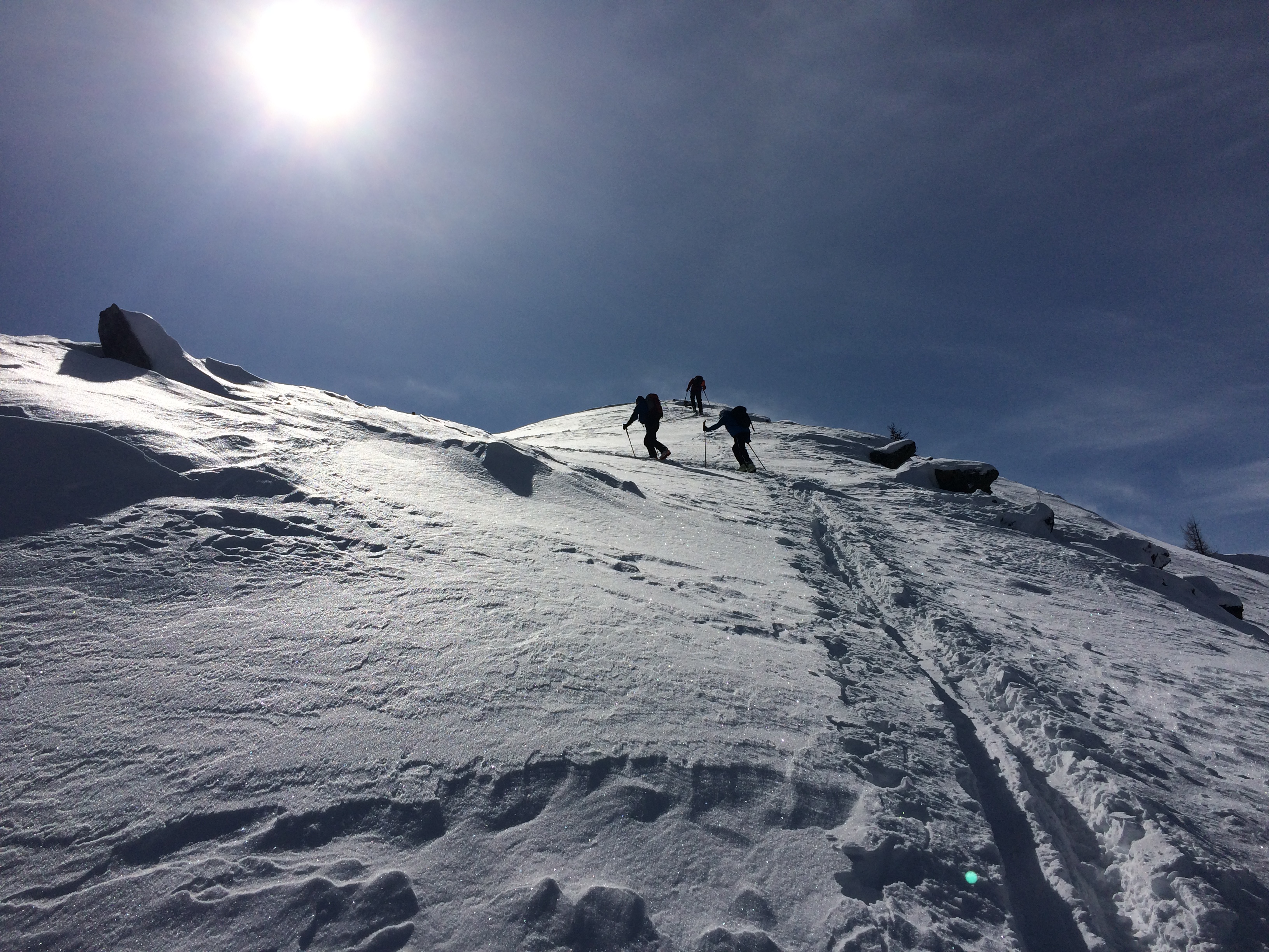 Schnee-, Winter- und Tourenskiwanderungen